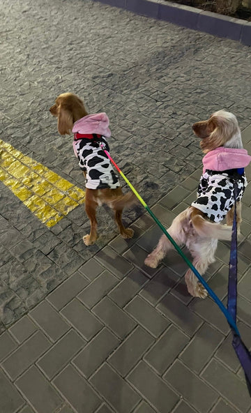 Moo dog outfit