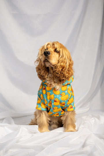 Quack dog outfit