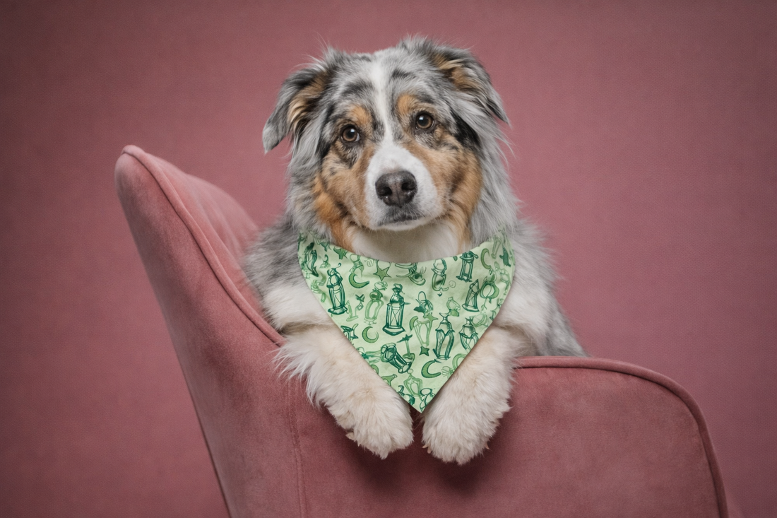 slider image 1621243260e1af0c20-0