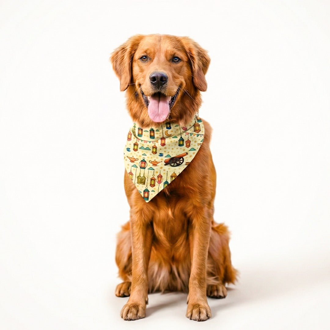 slider image slider_item_UTbEYK