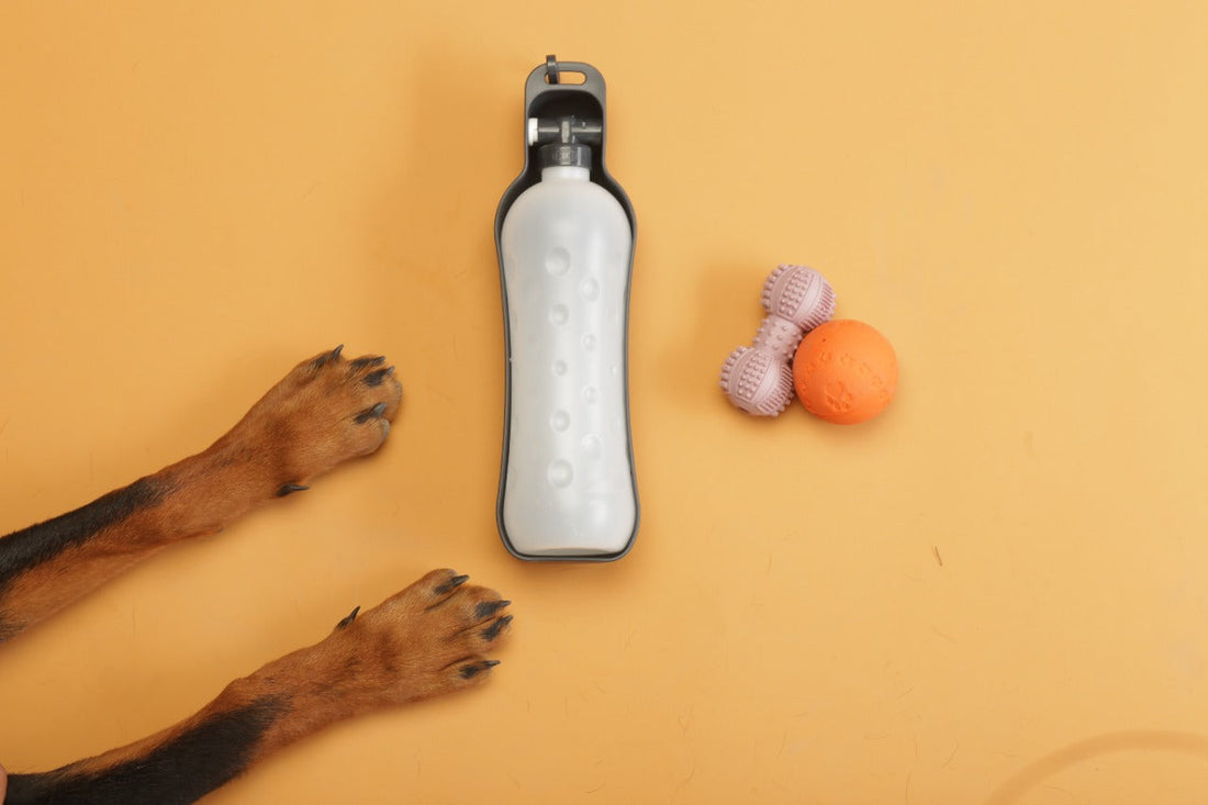 Trixie portable water dispenser