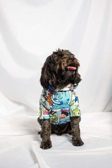 Monster Inc dog outfit
