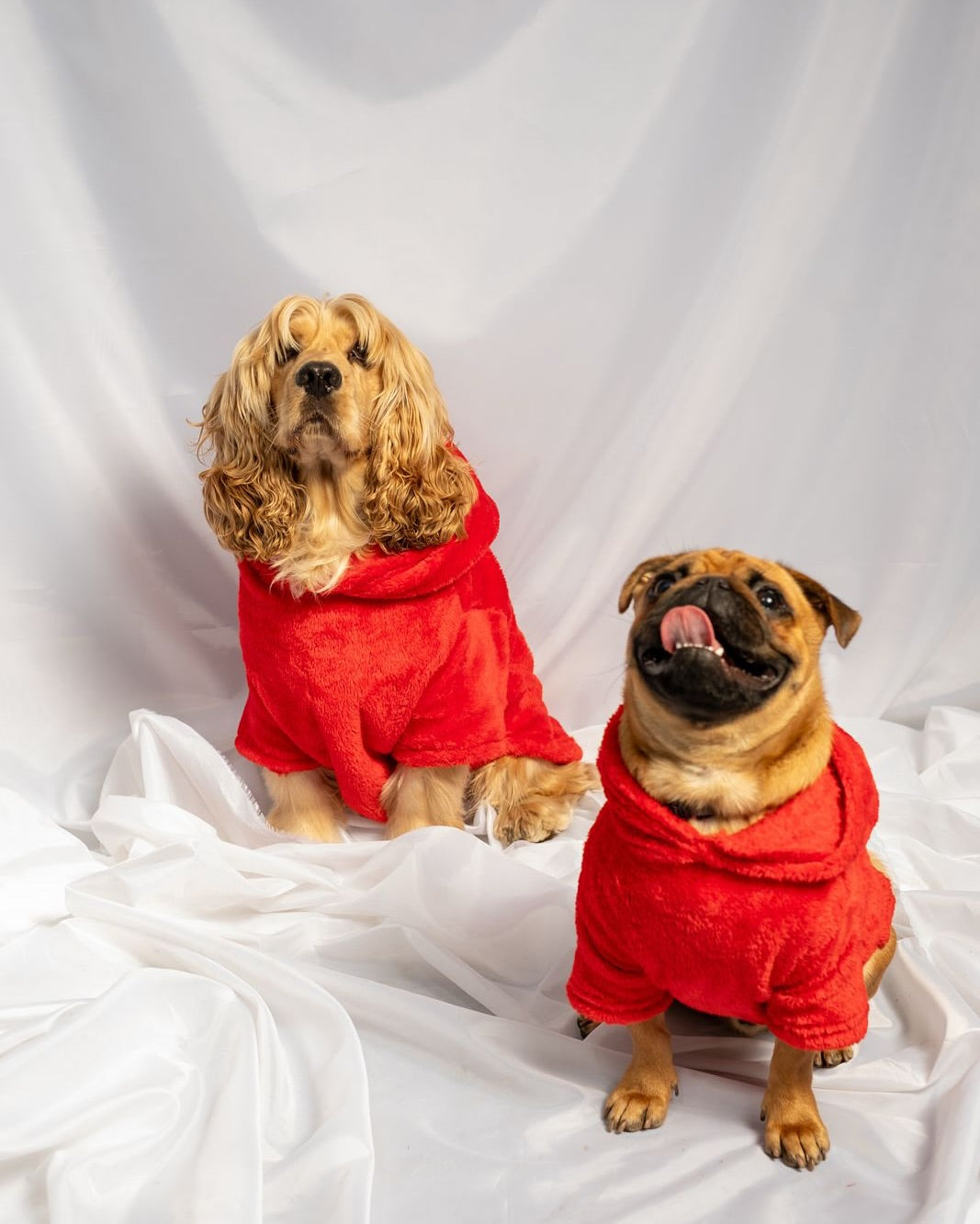 slider image 1621243260e1af0c20-1
