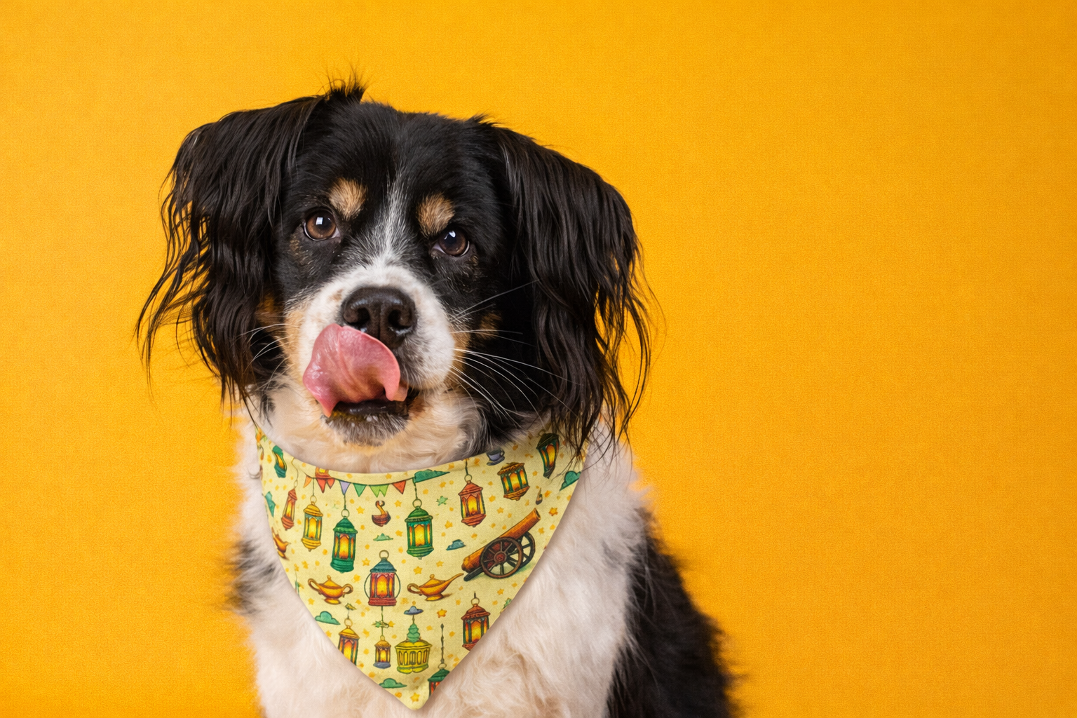 slider image slider_item_anVqAk