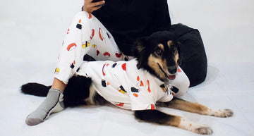 Sushi dog outfit