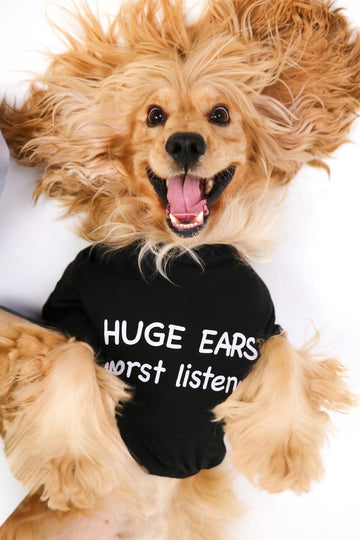 Huge Ears… worst listener