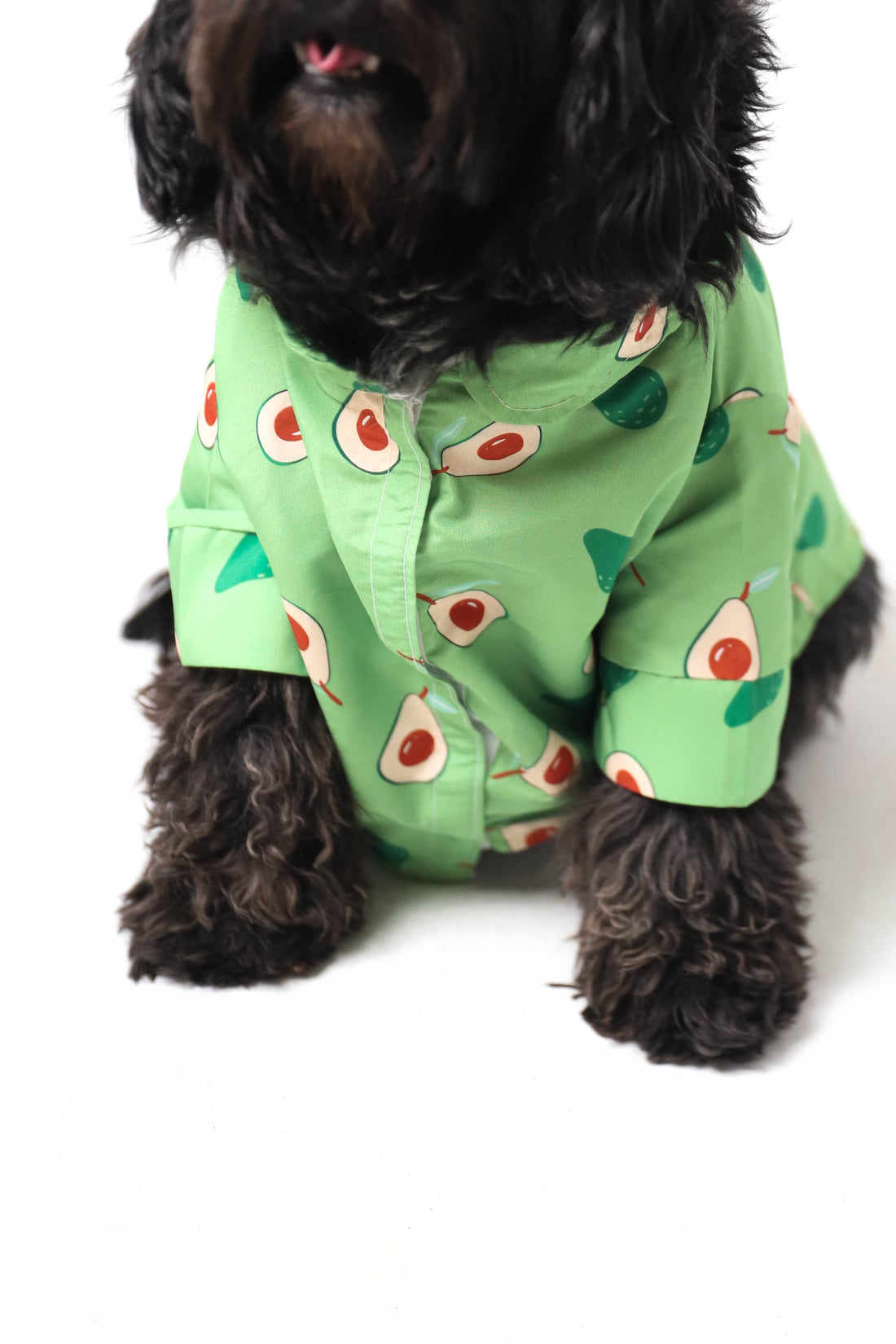 Avocado