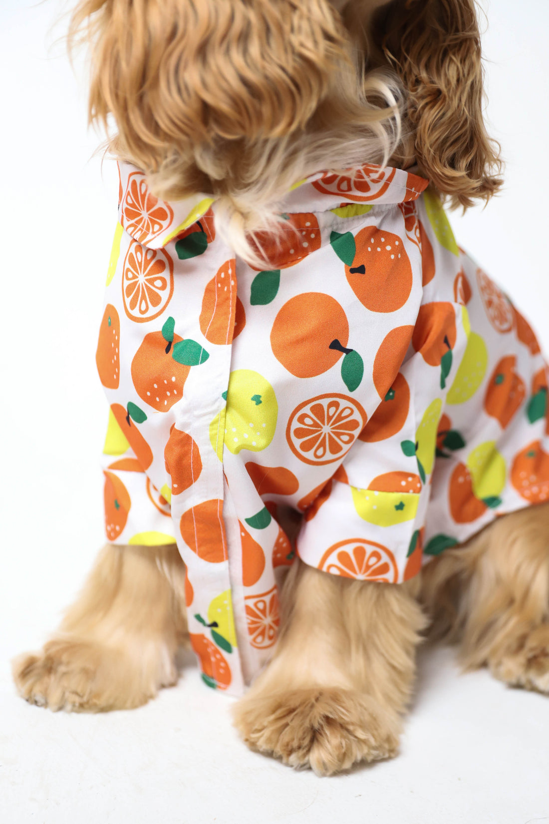 freshly squeezed