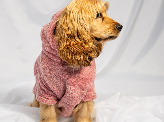 W25 Flubby hoodie reddish