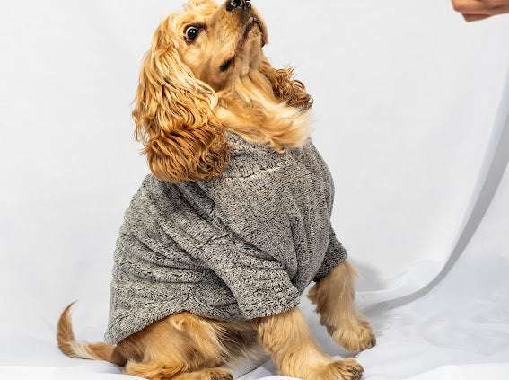 W23 Flubby hoodie Grey