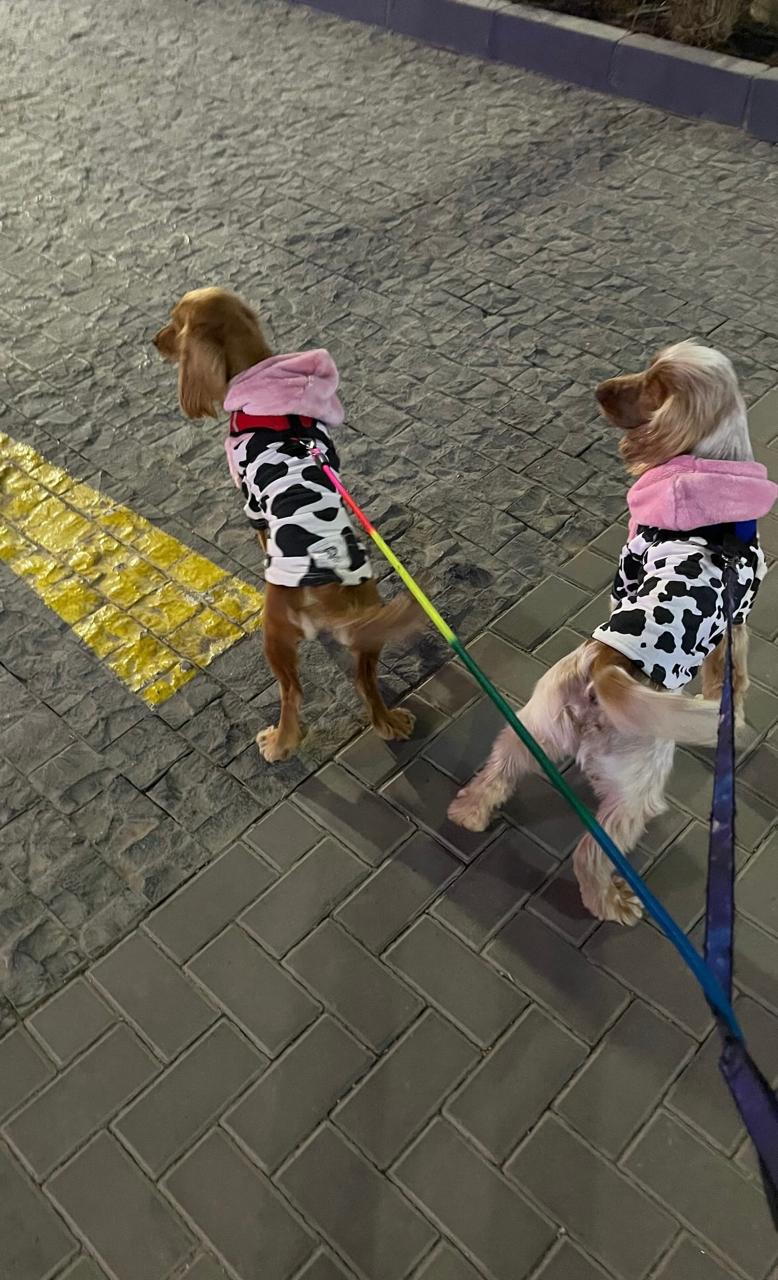 slider image 1621243260e1af0c20-0