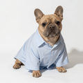 Baby Blue striped shirt - Astra - shop - eg