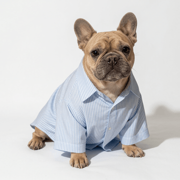 Baby Blue striped shirt - Astra - shop - eg