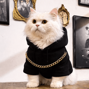 Black in gold cats - Astra - shop - eg