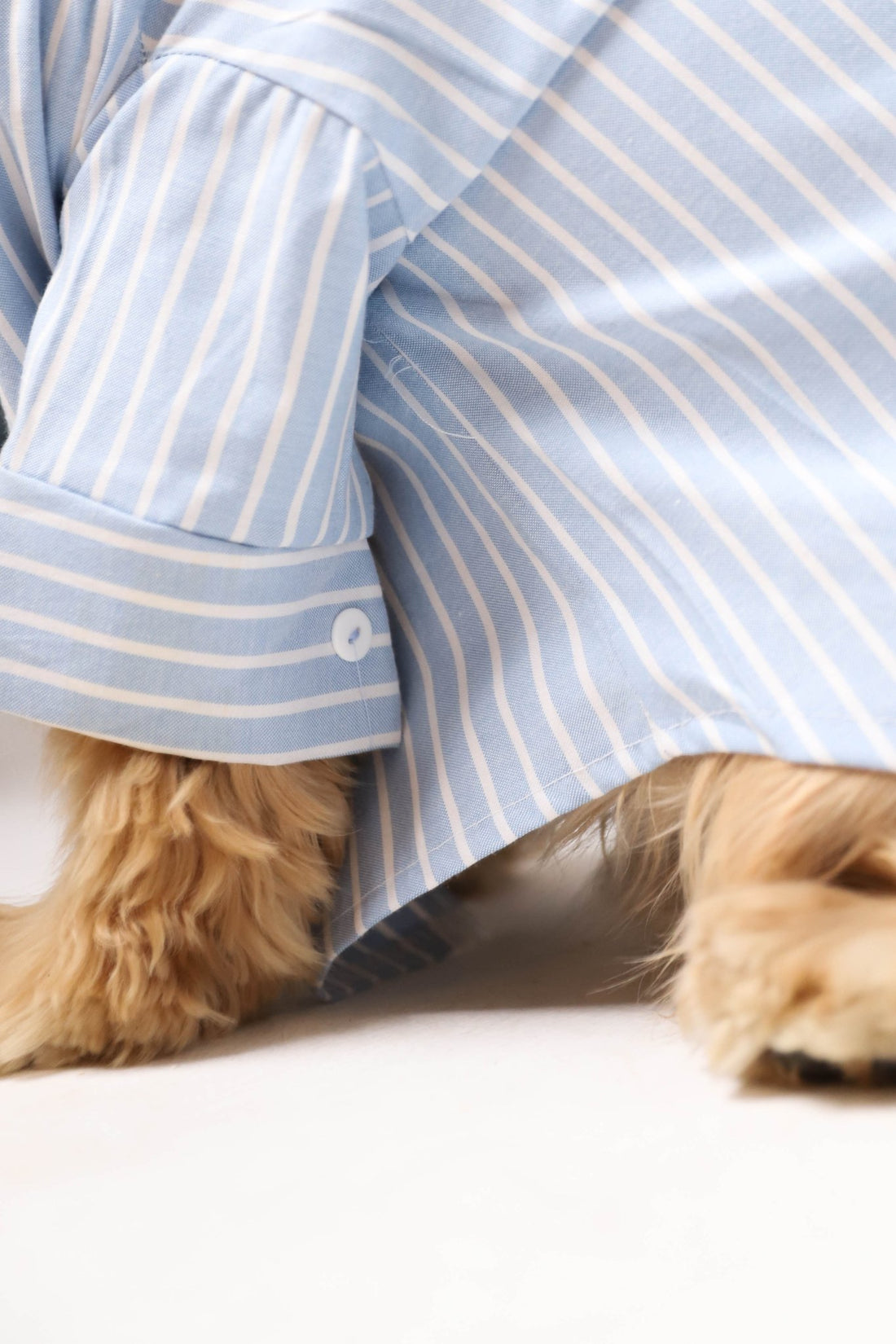 Blue pawttern - Astra - shop - eg