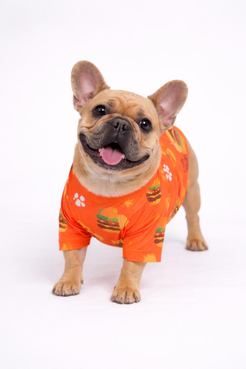 Burger dog outfit - Astra - shop - eg