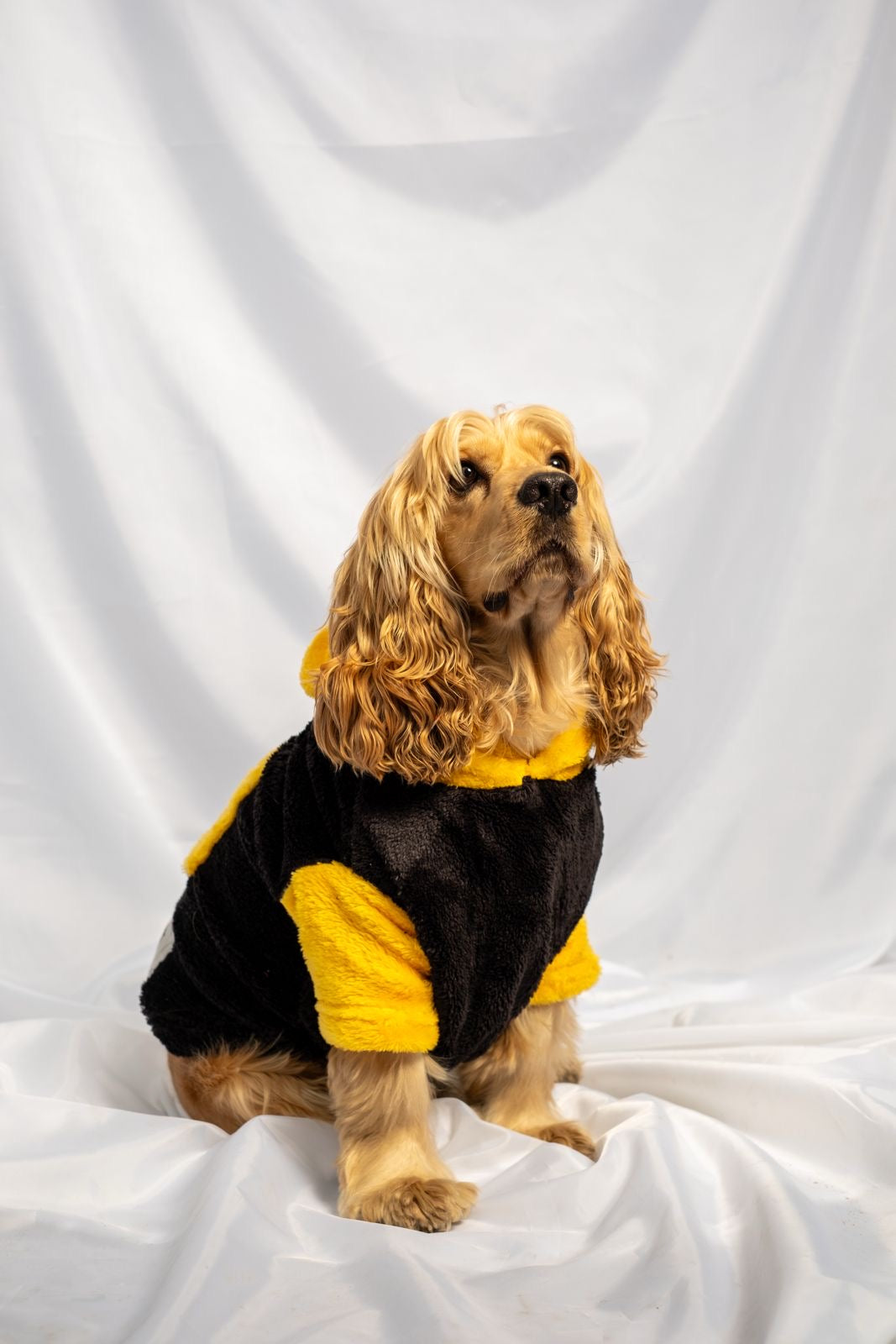 Black fleece in yellow