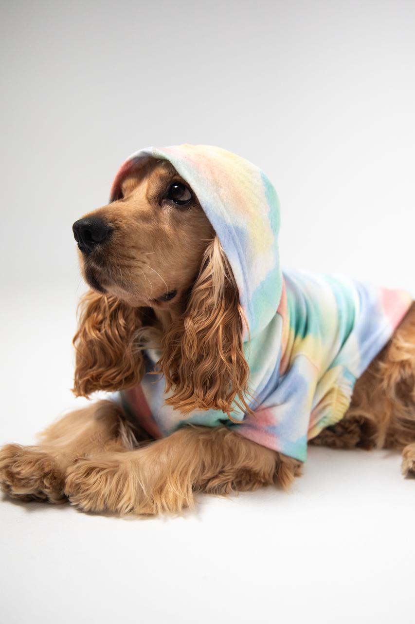 Cotton Candy - Astra - shop - eg