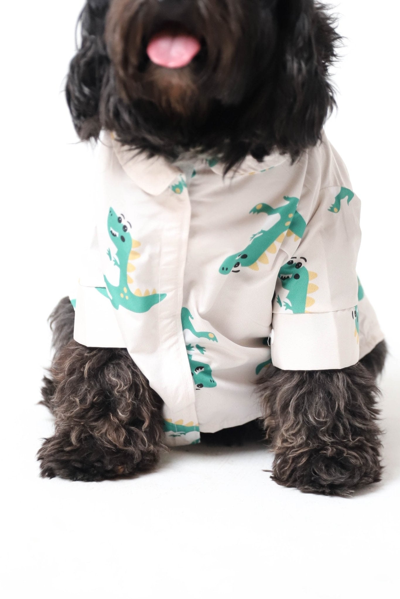 Crocodream - Astra - shop - eg