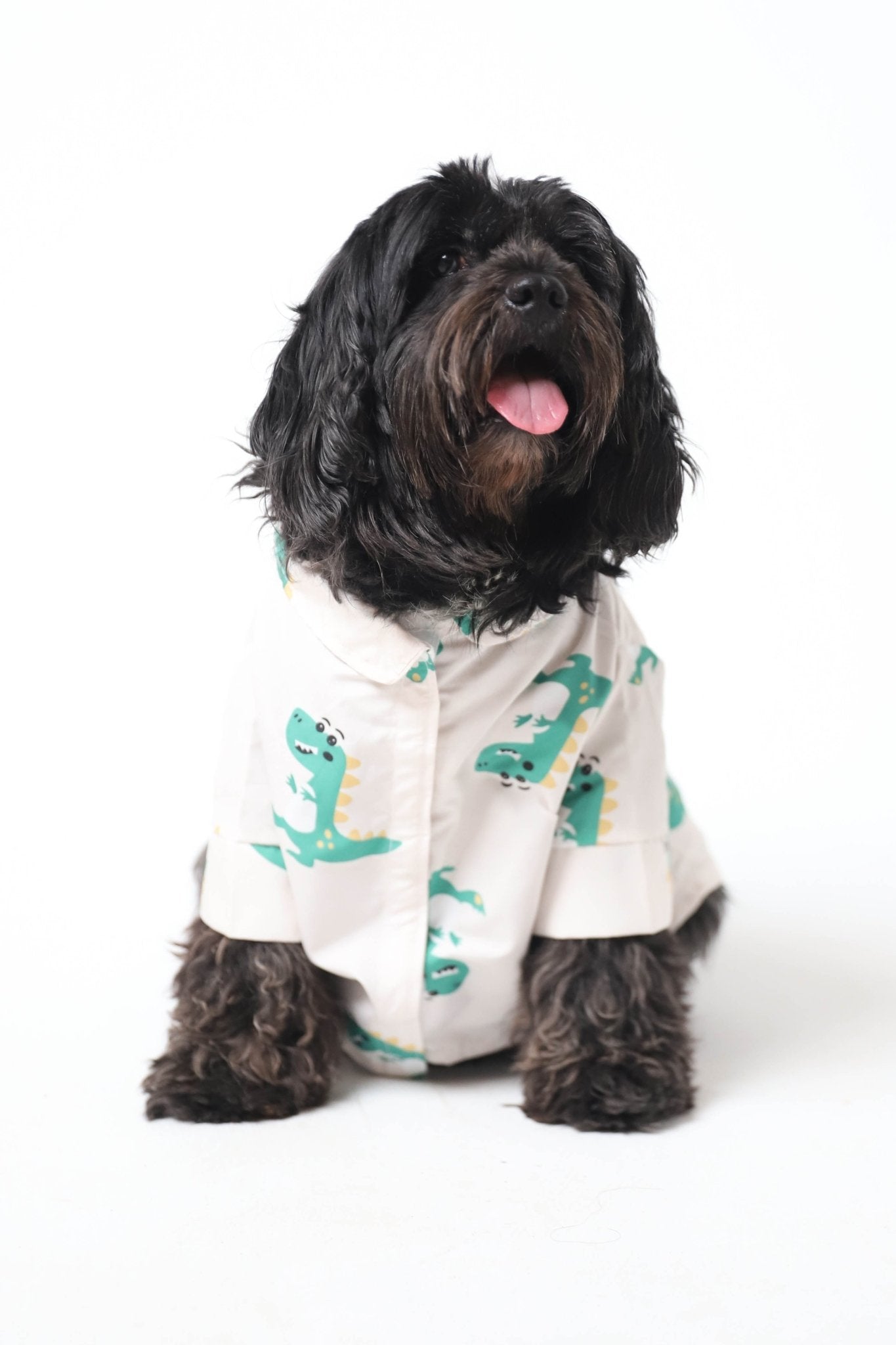 Crocodream - Astra - shop - eg