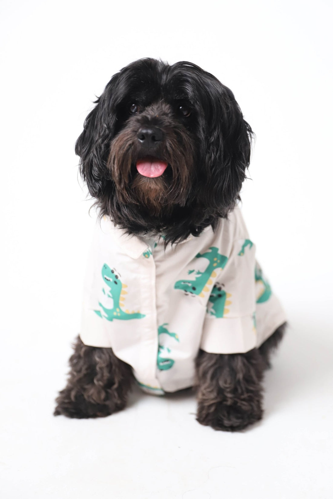 Crocodream - Astra - shop - eg