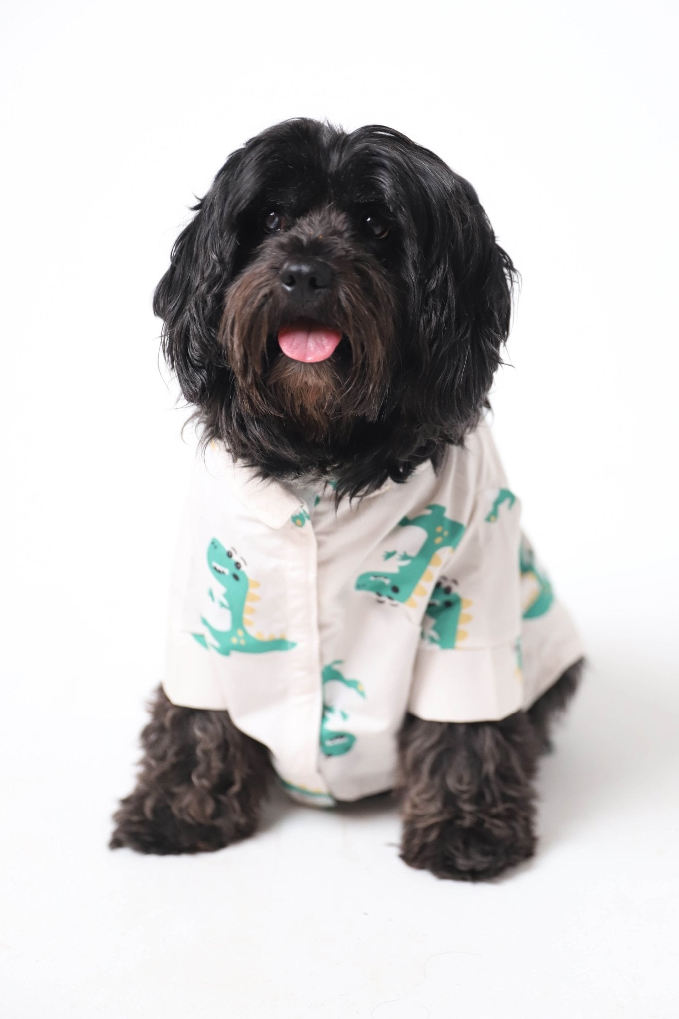 Crocodream - Astra - shop - eg