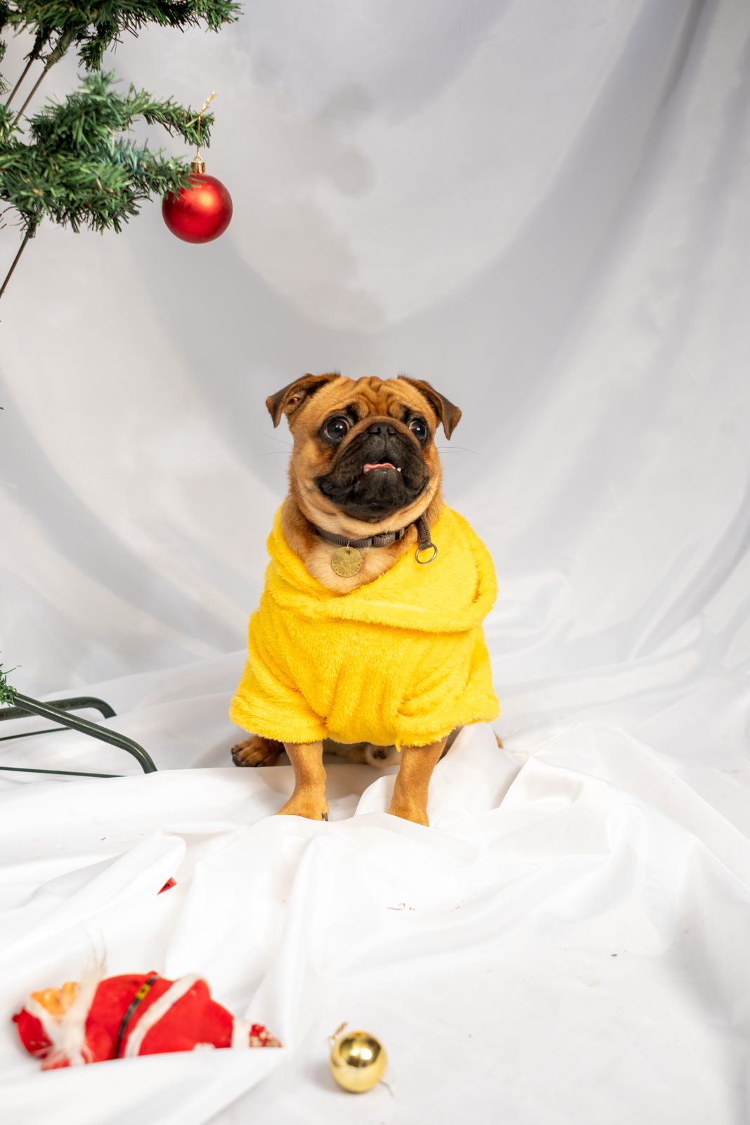 FLUFFY FLEECE HOODIE - Astra - shop - eg