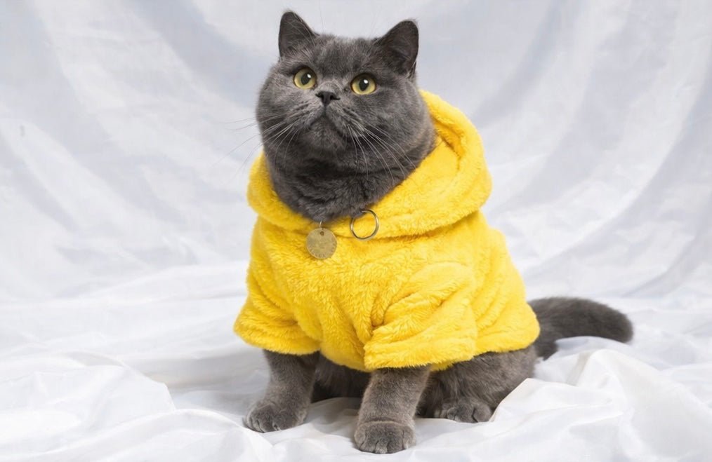 FLUFFY FLEECE HOODIE cats - Astra - shop - eg