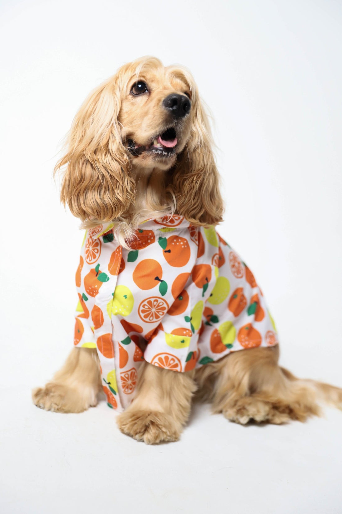 freshly squeezed - Astra - shop - eg