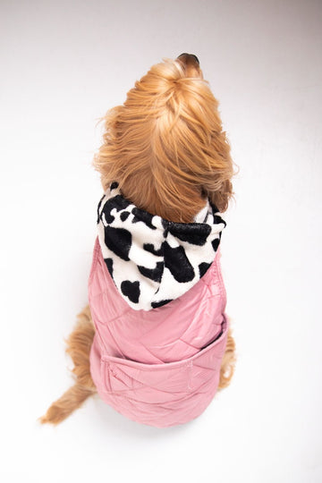 Moo meets pink coat - Astra - shop - eg