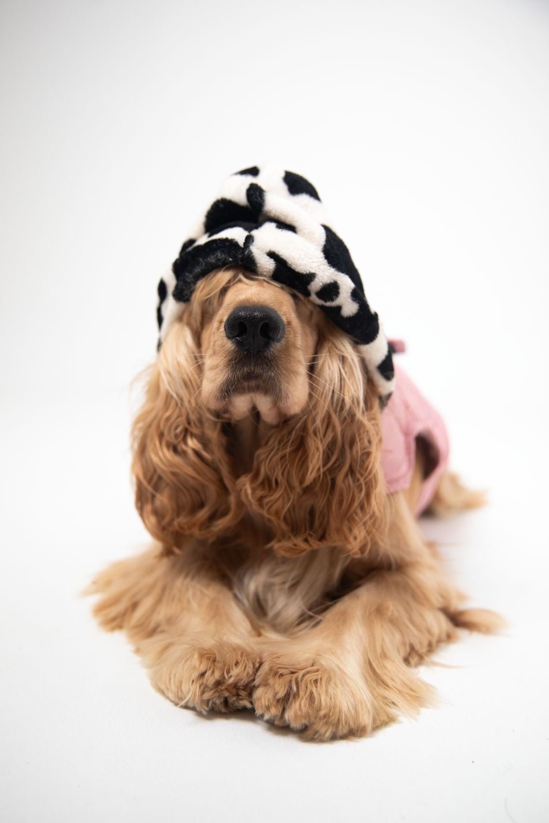 Moo meets pink coat - Astra - shop - eg