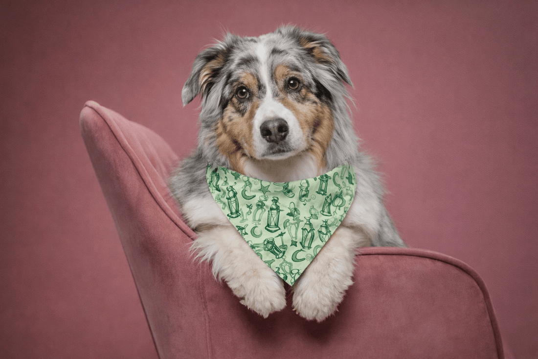 RAMDAN SCARFF - Astra - shop - egslider_item_j7kt9J