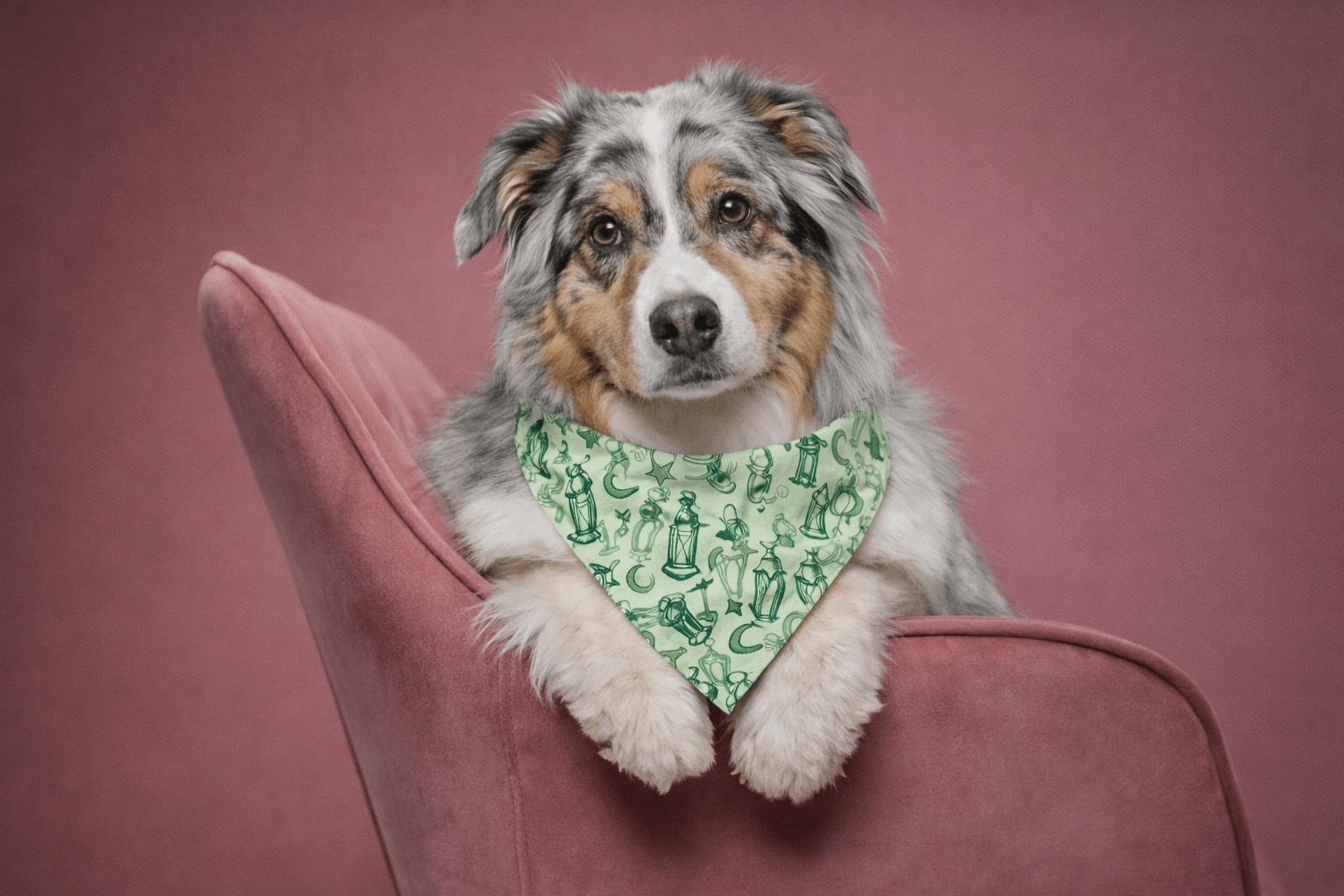 RAMDAN SCARFF - Astra - shop - egslider_item_j7kt9J