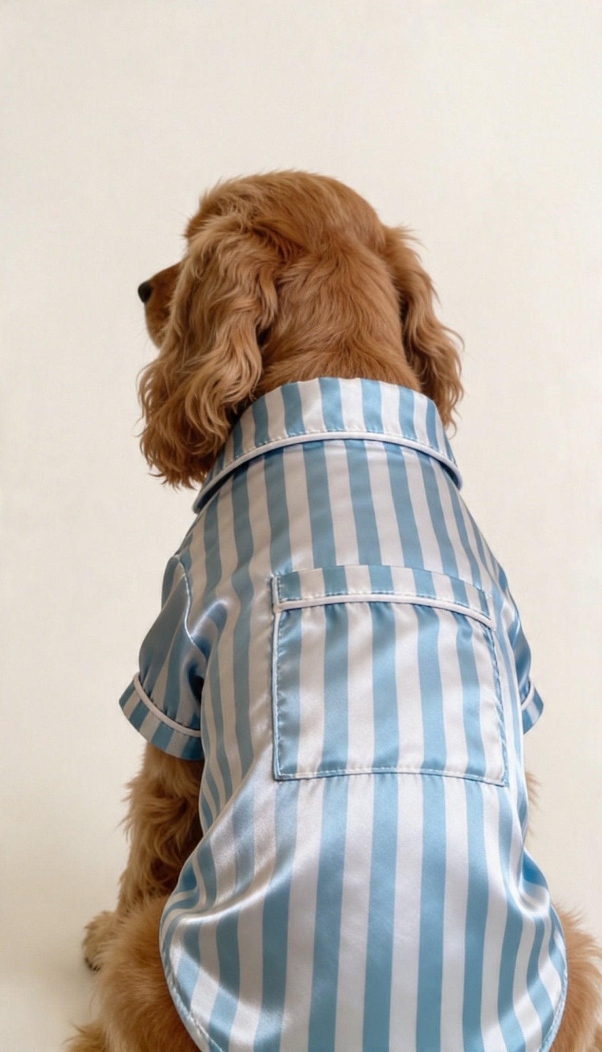 Sky Blue Striped Satin Dog Shirt - Astra - shop - eg