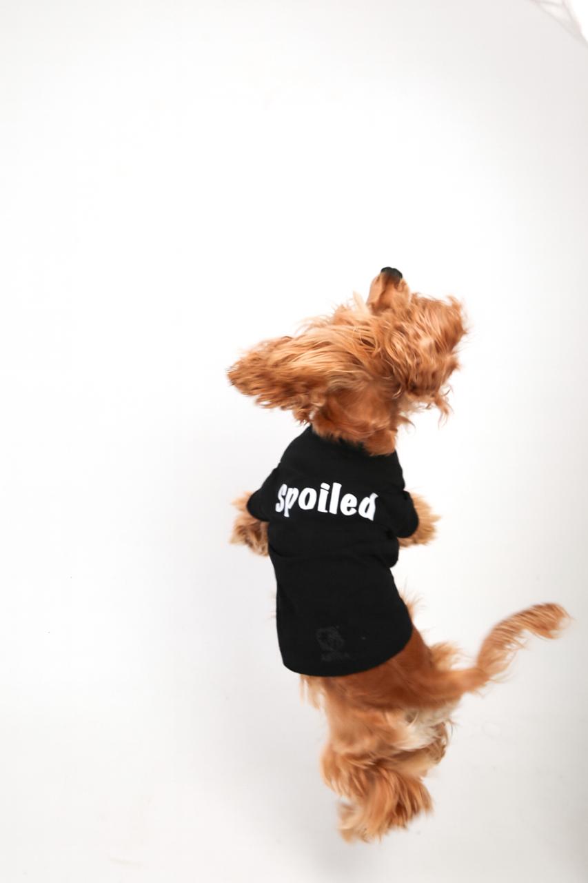 Spoiled - Astra - shop - eg