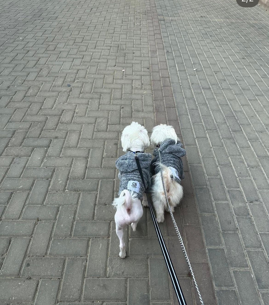 W25 Flubby hoodie Grey - Astra - shop - eg