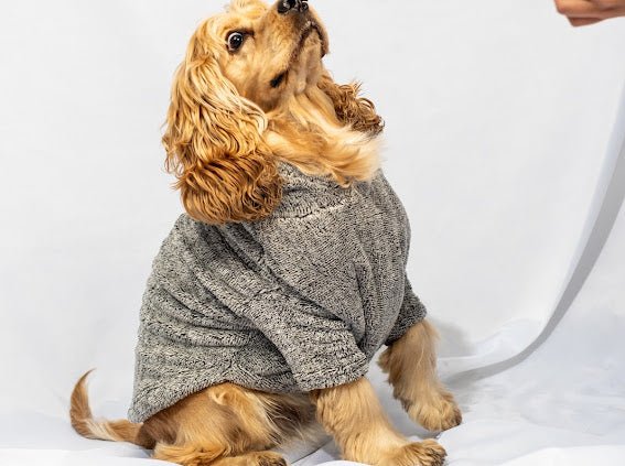 W25 Flubby hoodie Grey - Astra - shop - eg