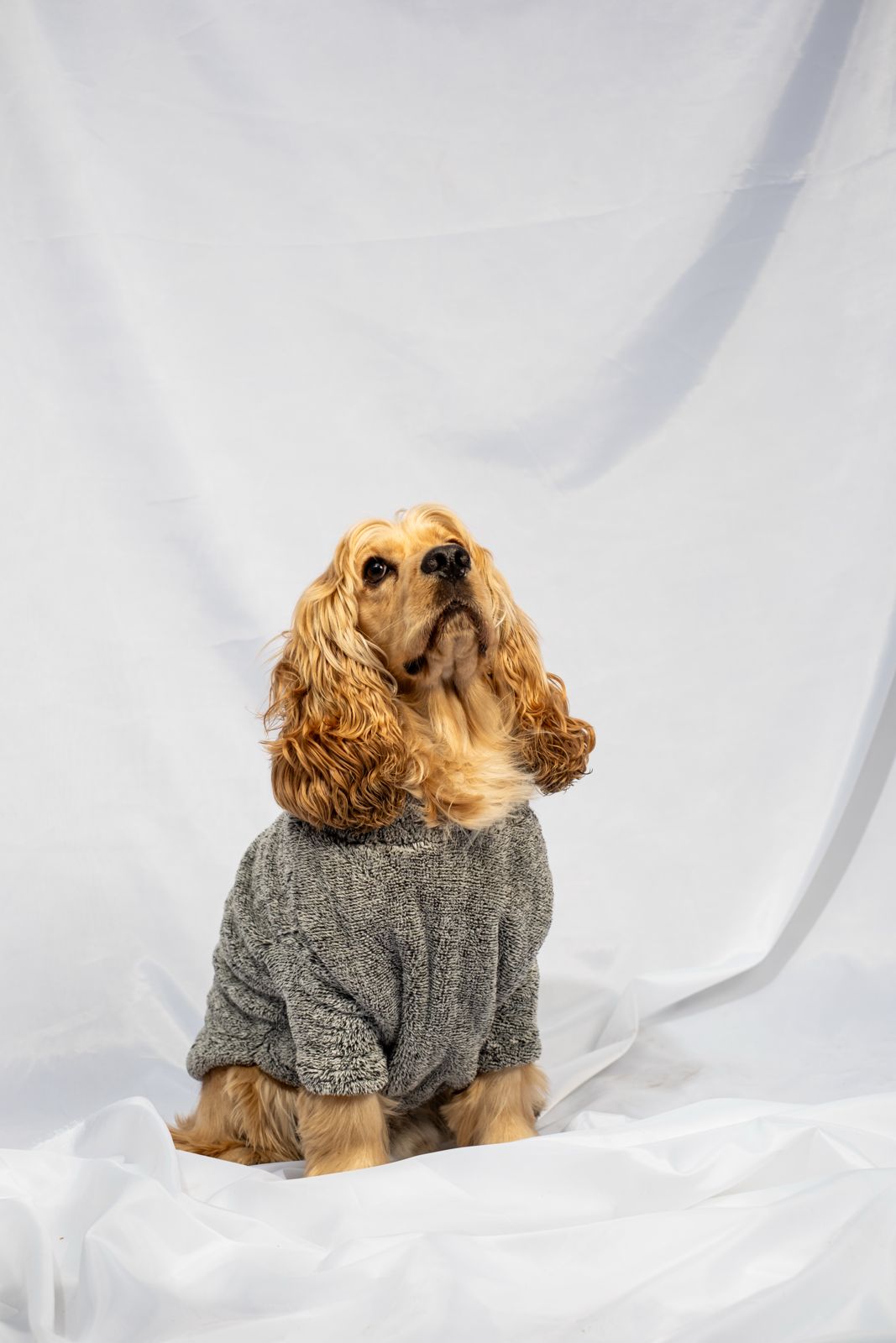 W25 Flubby hoodie Grey - Astra - shop - eg